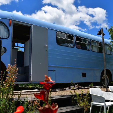 Evi The School Bus At Oromahoe Downs Farm Puketona Ngoại thất bức ảnh
