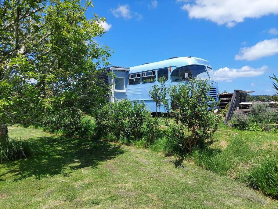 Evi The School Bus At Oromahoe Downs Farm Puketona Ngoại thất bức ảnh