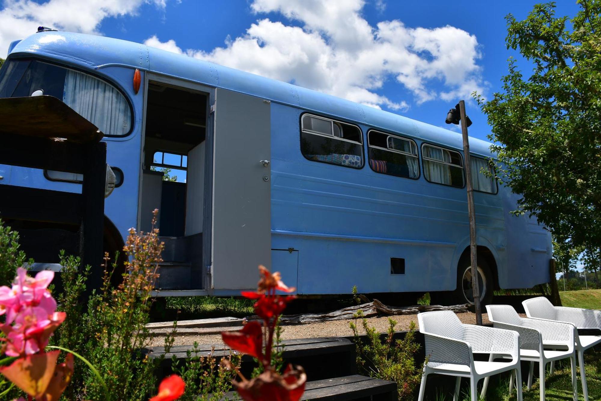 Evi The School Bus At Oromahoe Downs Farm Puketona Ngoại thất bức ảnh